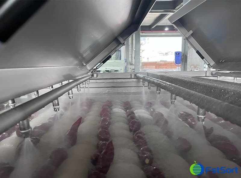 images/1737617035120brush&sprayer machine.jpg